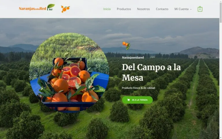 Proyecto De Desarrollo Web - Rogu Digital